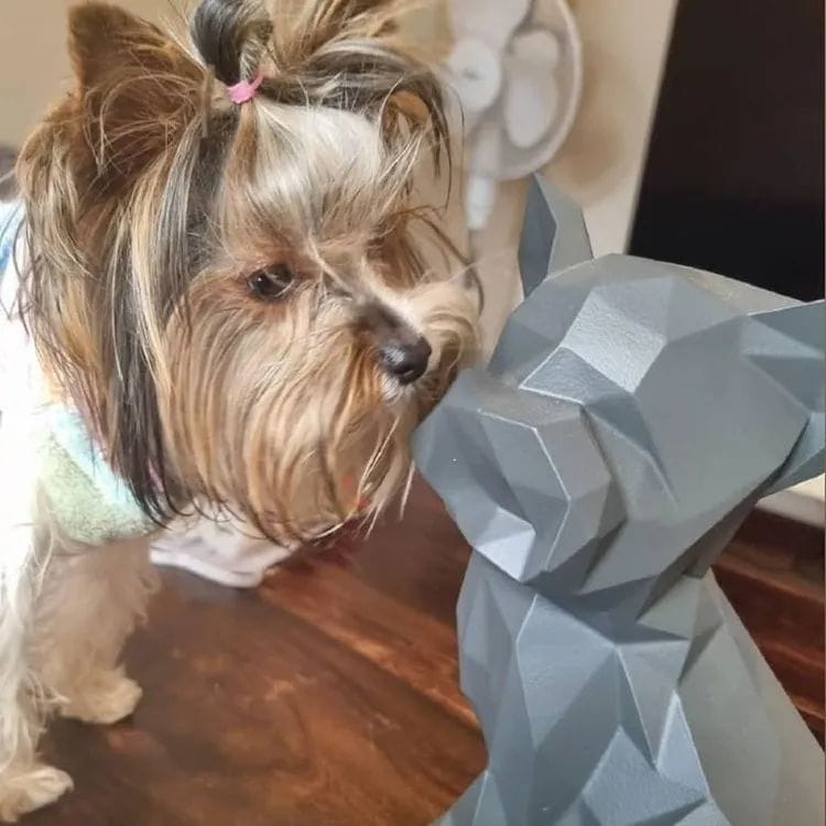 Real dog 5